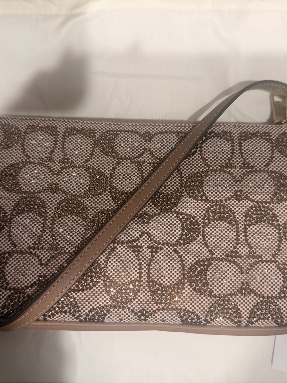 COACH mushroom crystal Plaza